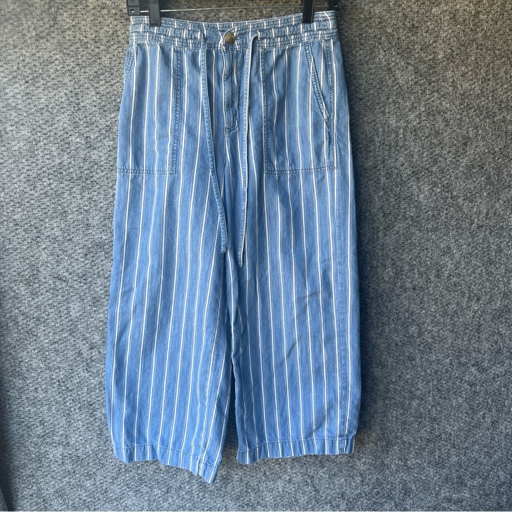 American Eagle Outfitters Blue Striped Pants